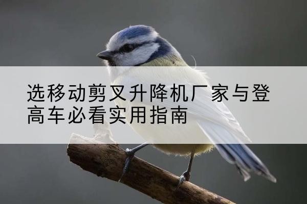 乌什电动升降机厂家-选移动剪叉升降机厂家与登高车必看实用指南