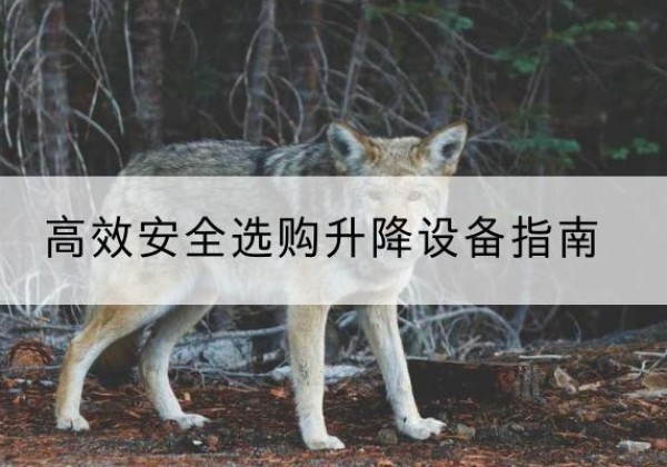 乌什升降货梯厂家推荐-*安全选购升降设备指南