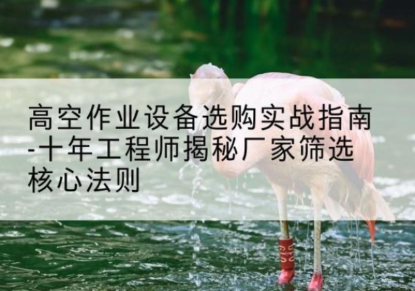 乌什剪叉式升降机厂家-高空作业设备选购实战指南-十年工程师揭秘厂家筛选核心法则